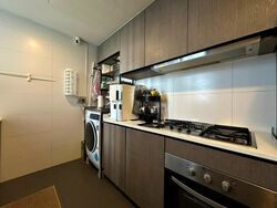 RiverParc Residence (D19), Condominium #498690681